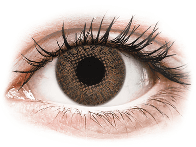 Brown contact lenses - TopVue Color