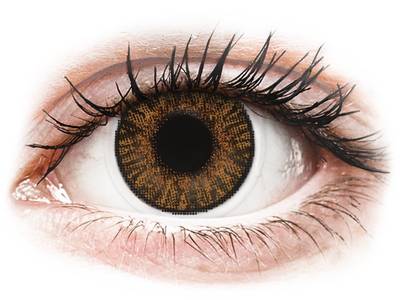 Brown Honey contact lenses - FreshLook ColorBlends