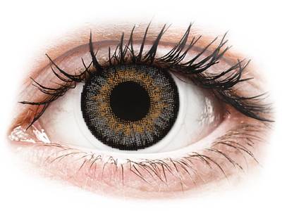 Grey contact lenses - FreshLook One Day Color