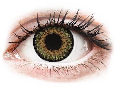 Pure Hazel contact lenses - FreshLook One Day Color - Power
